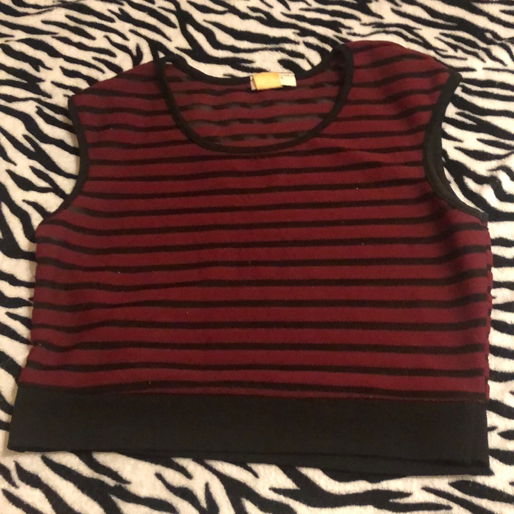 Burgundy stripes and black mesh stripes crop top